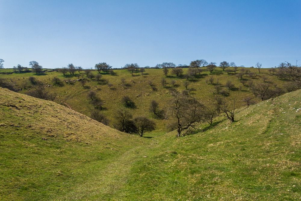 High Dale High Dale